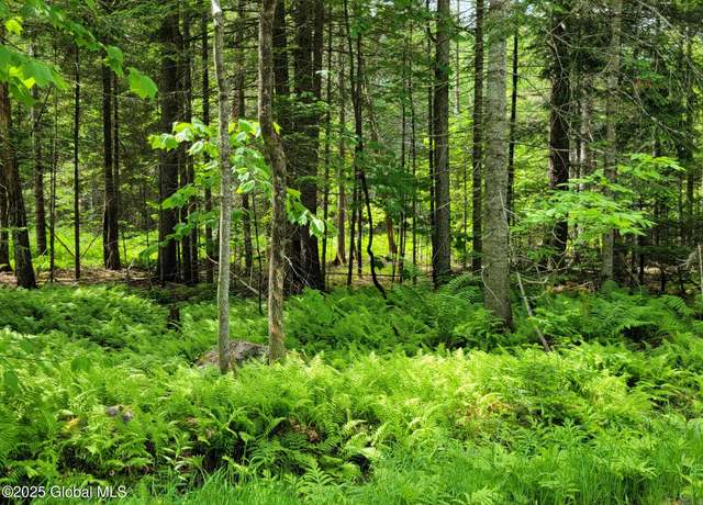 Property at L40 Loch Muller Rd, Schroon Lake, NY 12870