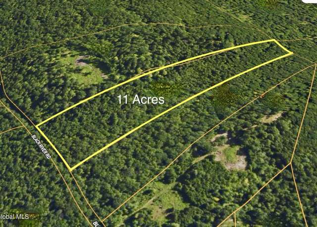 Property at L3.2 Black River Rd, Stephentown, NY 12169