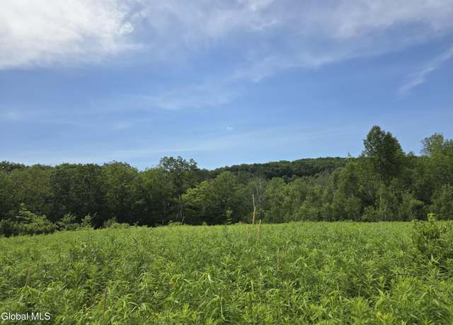 Property at 0 East Rd, Stephentown, NY 12168