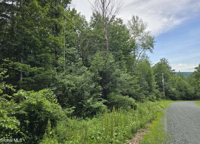 Property at L20.45 Robinson Hollow Way, Stephentown, NY 12168