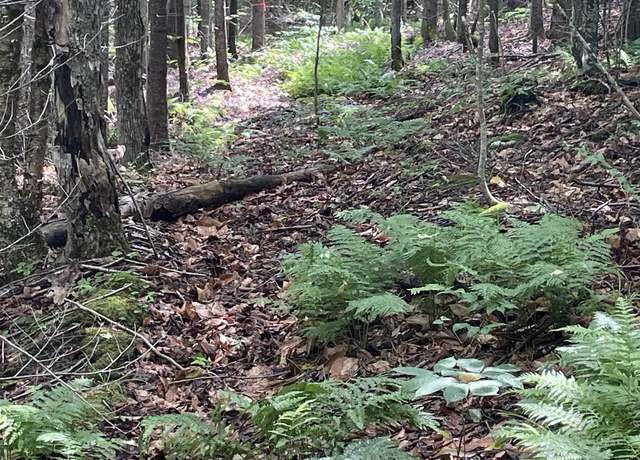 Property at L25 Cleveland Rd, Indian Lake, NY 12842