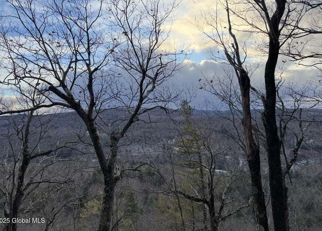 Property at L6 Antone Mountain Rd, Corinth, NY 12822