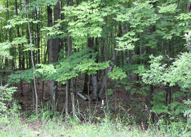 Photo of L5.111 Raven Rd, Richmondville, NY 12149