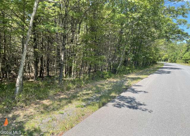 Property at L18.2 Old Kings Rd, Hannacroix, NY 12087