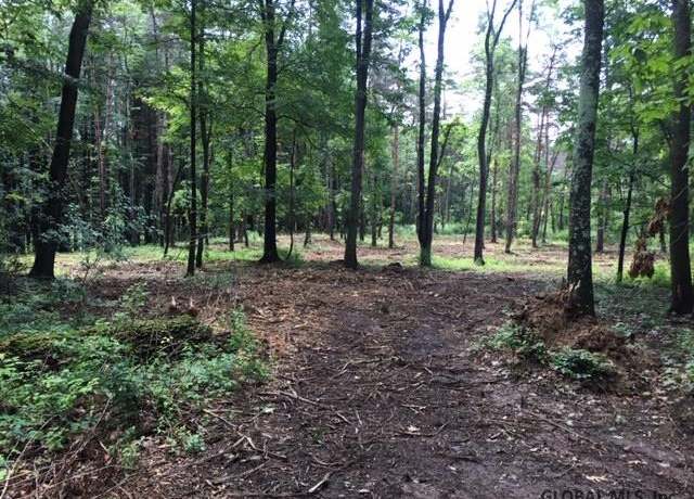 Property at 1884 RT 51, New Baltimore, NY 12124