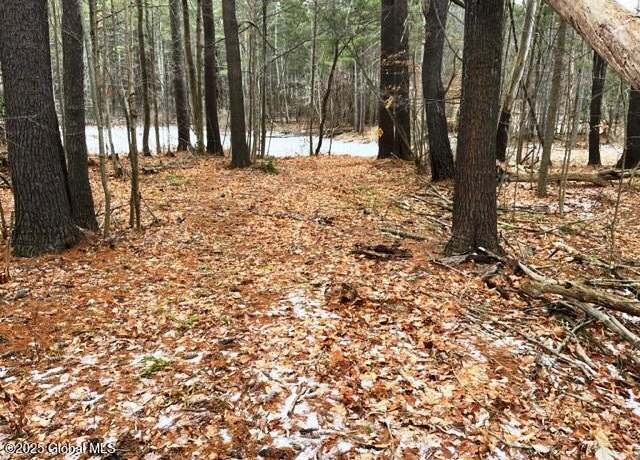 Property at L4 State Route 146, Delanson, NY 12053