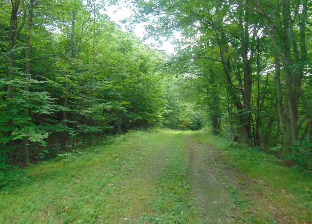 Property at 0 Mace Rd, Gilboa, NY 12076