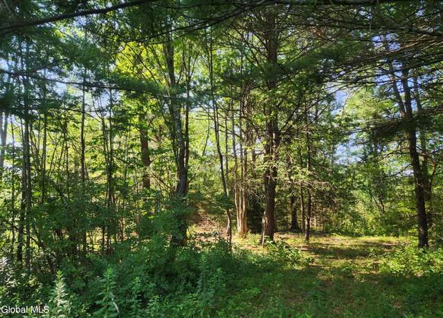Property at Lot 4 Skyline Dr, Delanson, NY 12053
