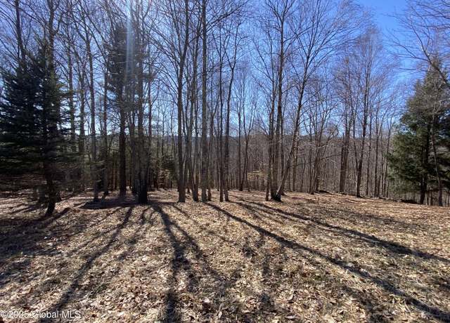 Property at L22.2 Alder Pond Rd, Andes, NY 13740