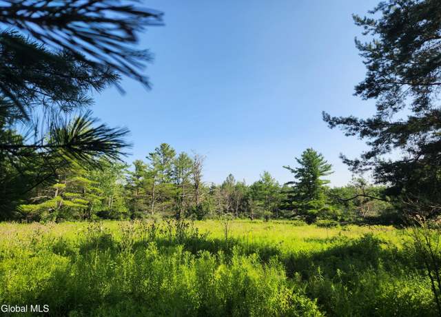 Property at Lot 30 Skyline Dr, Delanson, NY 12053