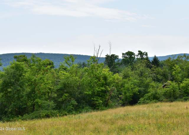 Property at 49 Hall Rd, Johnsonville, NY 12094