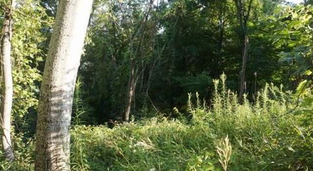 Photo of Pickle Hill Rd, Minden, NY 13339