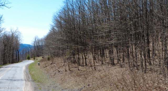 Photo of 109 Sunrise Sunset Dr, Jefferson, NY 12093