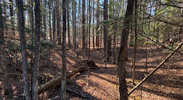 Photo of L5 State Rt 28n, North Creek, NY 12853