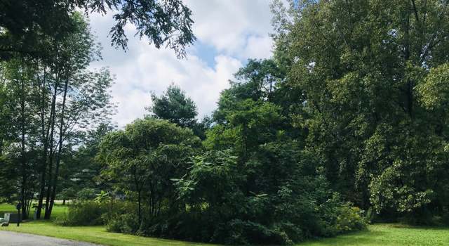 Photo of L13 Bobkat Ln, Hague, NY 12836