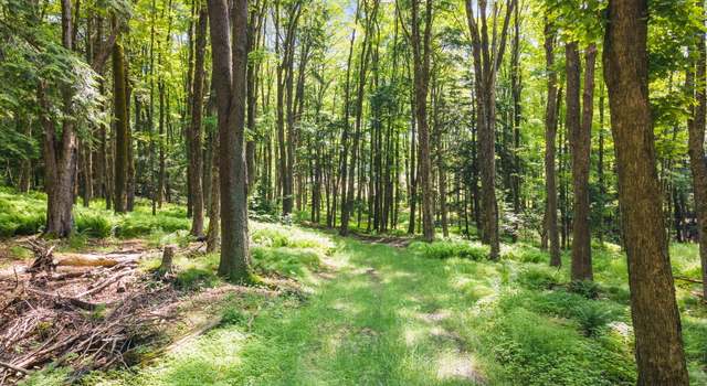 Photo of 238 Bear Gulch Rd, Summit, NY 12175