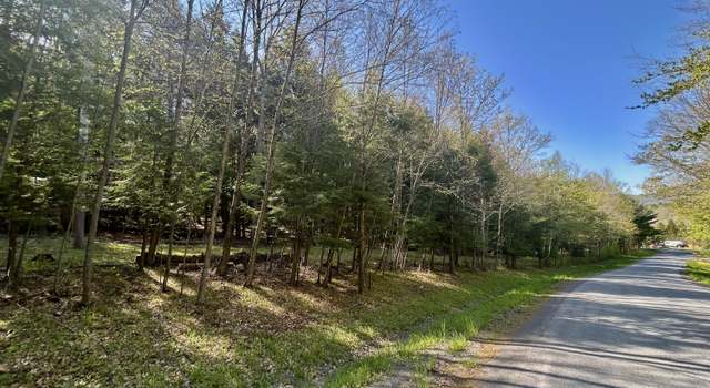 Photo of L16 Bruce Porn Rd, Stamford, NY 12167