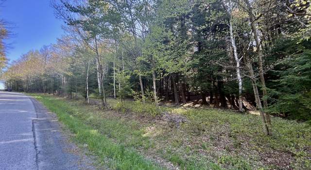 Photo of L16 Bruce Porn Rd, Stamford, NY 12167