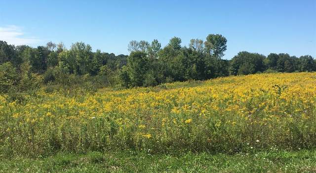 Photo of Krutz Rd, Palatine Bridge, NY 13428