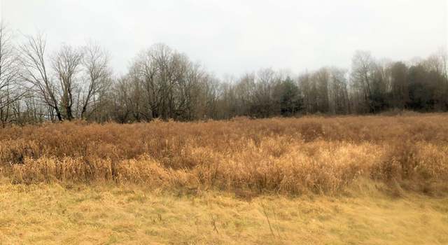 Photo of Division St, Fort Plain, NY 13339