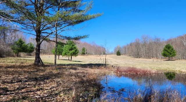 Photo of L12 Blossom Rd, NY 12865