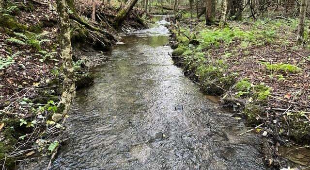 Photo of L3.2 Grewe Rd, Pitcher, NY 13136