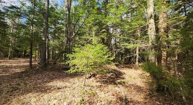 Photo of L2 Yankee St, Summit, NY 12175