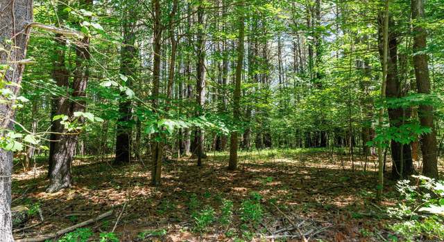 Photo of L4 Circle Dr, Cairo, NY 12413