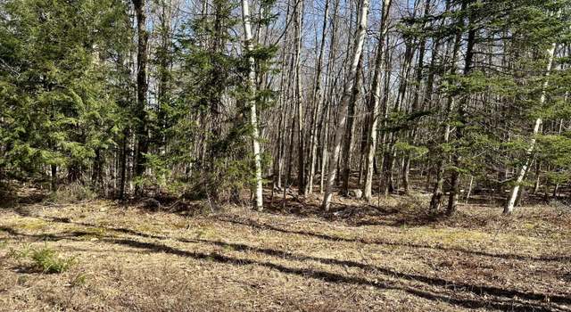 Photo of L-19 SW States Rd, Stony Creek, NY 12878