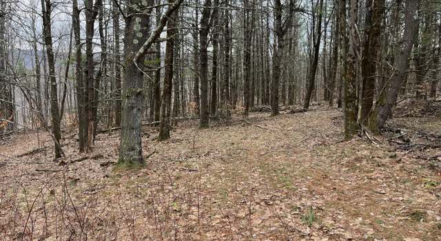 Photo of L9 Laura Ln, Middleburgh, NY 12122