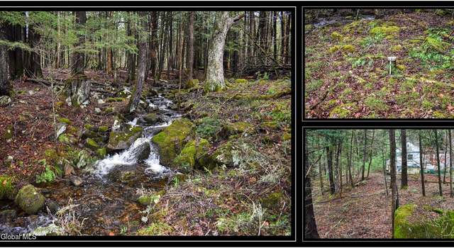Photo of 1290 Valentine Pond Rd, Adirondack, NY 12815