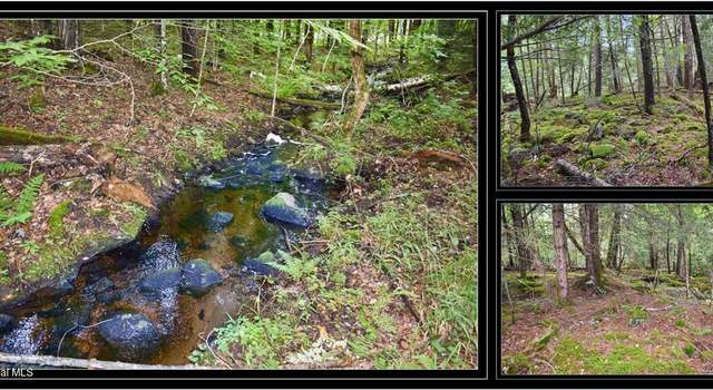 Photo of L72.1 Woodridge Dr, Brant Lake, NY 12815
