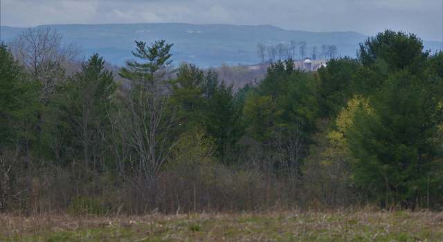 Photo of Lot 13 Krutz Rd Unit SBL 49.-1-14.13, Palatine Bridge, NY 13428