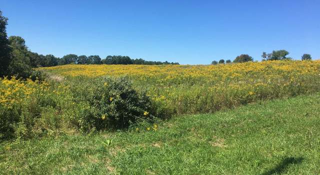 Photo of Lot 13 Krutz Rd Unit SBL 49.-1-14.13, Palatine Bridge, NY 13428