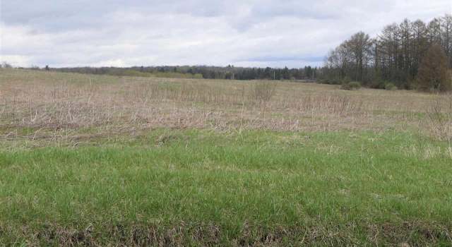 Photo of Lot 17 Krutz Rd Unit SBL 49.-1-14.17, Palatine Bridge, NY 13428