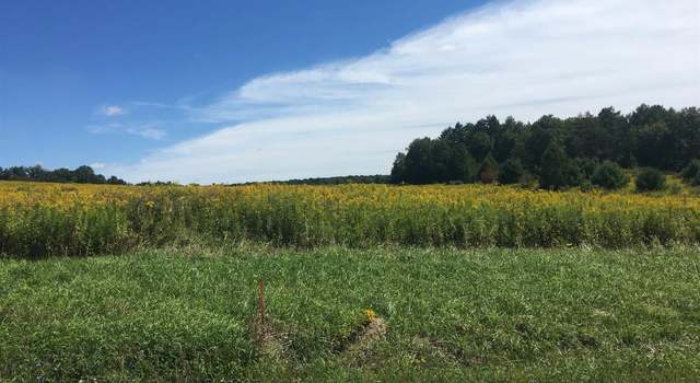 Photo of Lot 17 Krutz Rd Unit SBL 49.-1-14.17, Palatine Bridge, NY 13428