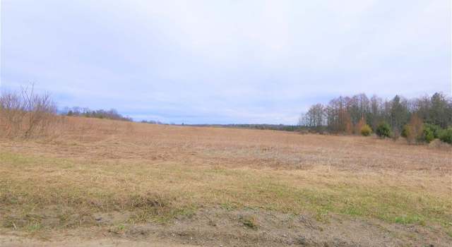 Photo of Lot 17 Krutz Rd Unit SBL 49.-1-14.17, Palatine Bridge, NY 13428