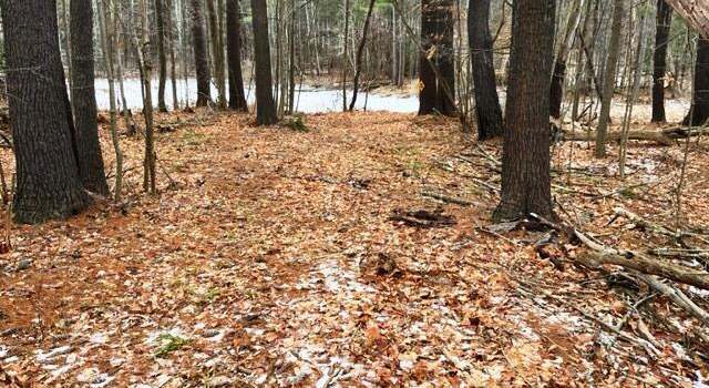Photo of L4 State Route 146, Delanson, NY 12053