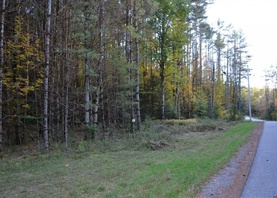 L827 Hendricks Rd, Bolton Landing, NY 12814