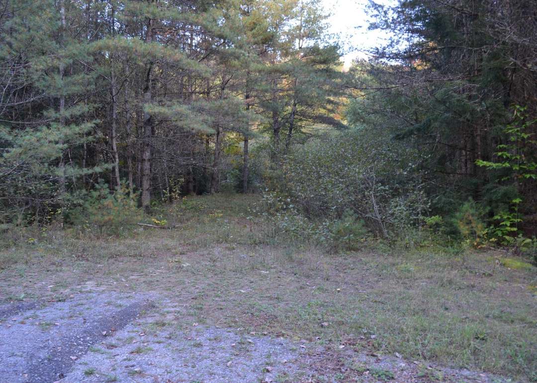 L827 Hendricks Rd, Bolton Landing, NY 12814