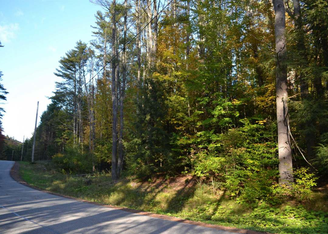 L827 Hendricks Rd, Bolton Landing, NY 12814