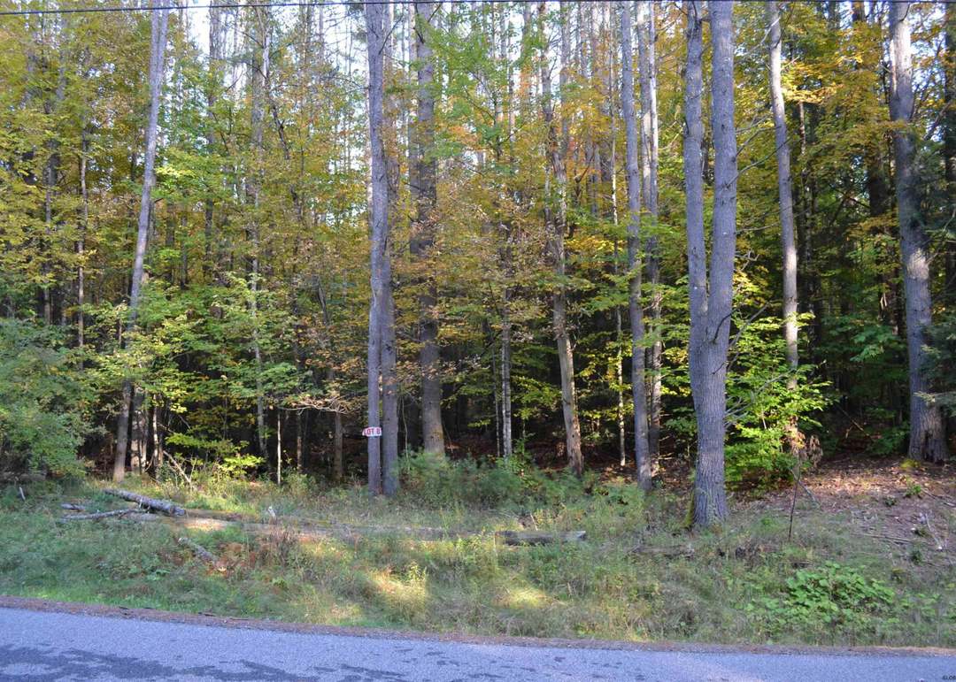 L828 Hendricks Rd, Bolton Landing, NY 12814