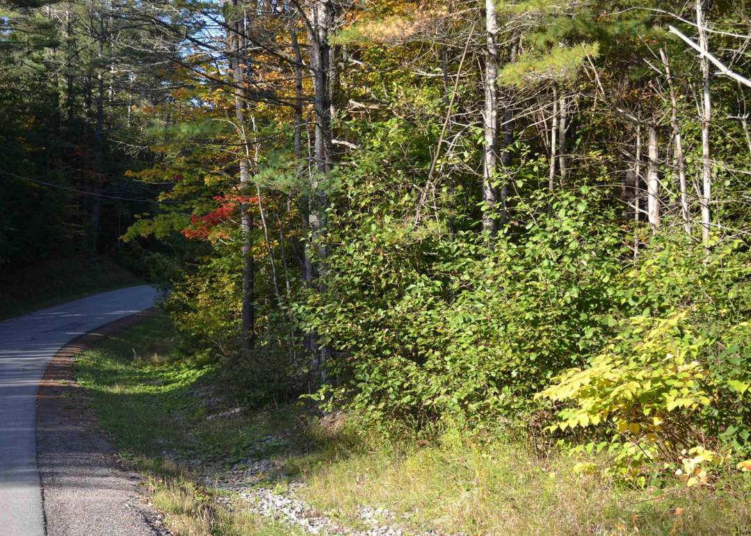 L828 Hendricks Rd, Bolton Landing, NY 12814