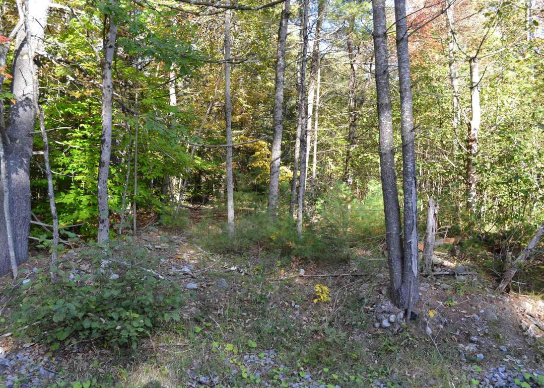 L828 Hendricks Rd, Bolton Landing, NY 12814
