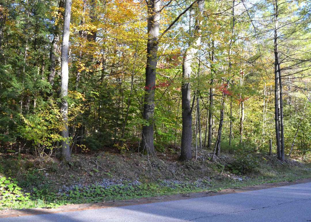 L828 Hendricks Rd, Bolton Landing, NY 12814