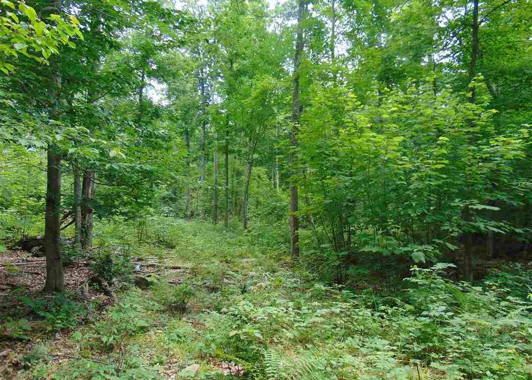 0 Mace Rd, Gilboa, NY 12076