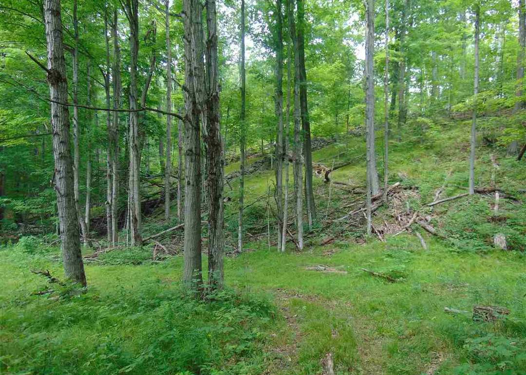 0 Mace Rd, Gilboa, NY 12076