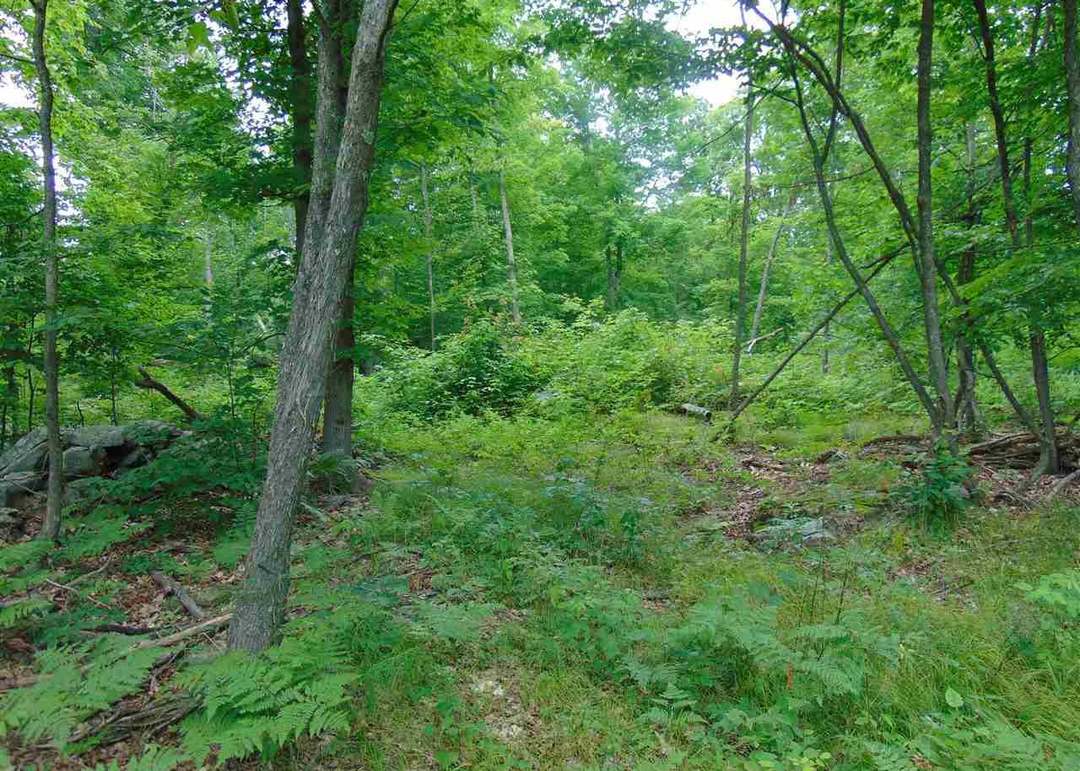 0 Mace Rd, Gilboa, NY 12076