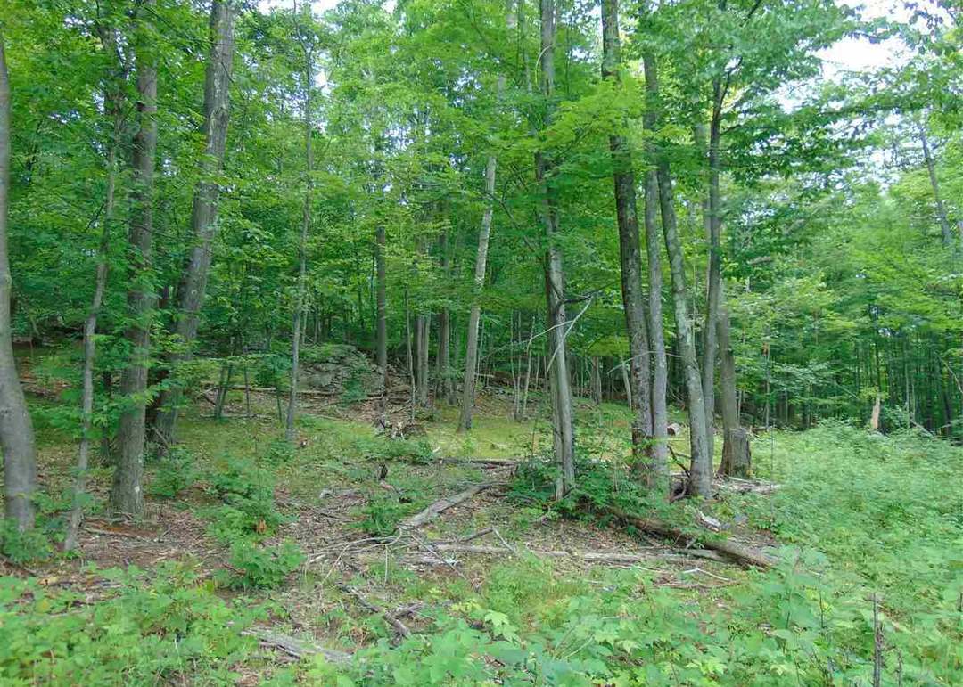 0 Mace Rd, Gilboa, NY 12076