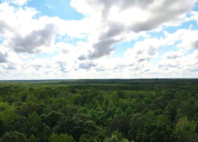 Property at Masseyville Mcnairy Rd, Bethel Springs, TN 38315